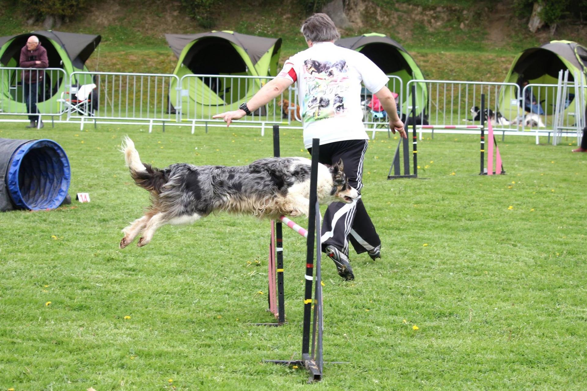 Fabien et Fly ont participé au sélectif du GPF et à la coupe territoriale